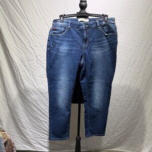 Slink curvy Blue Denim Jeans